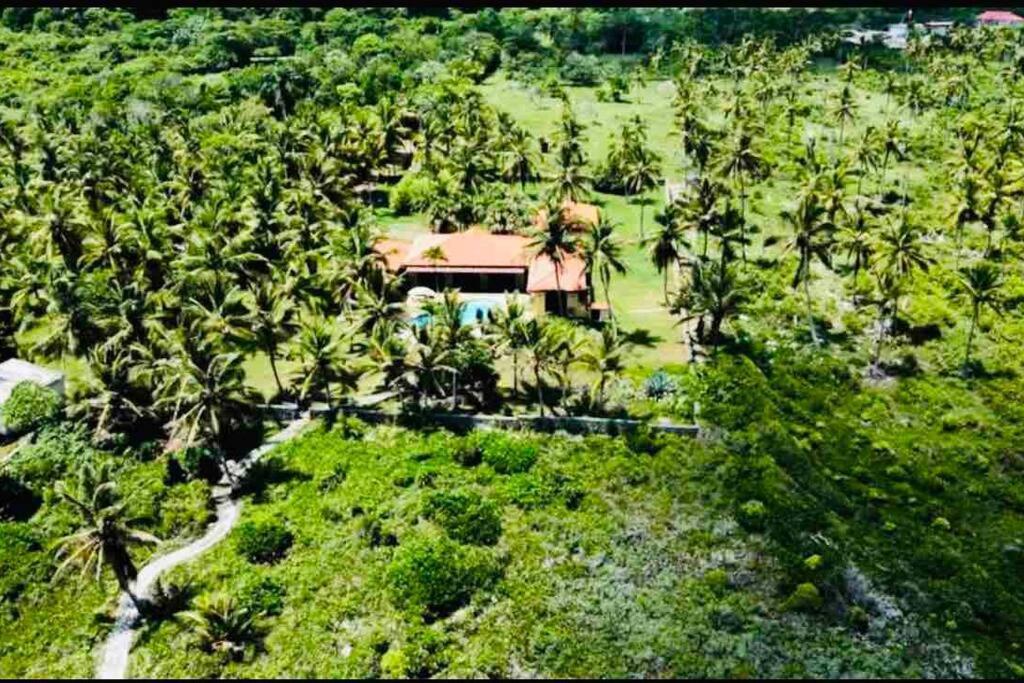 Palm House - Luxury Villa - Samana - Ocean Front Sánchez Buitenkant foto