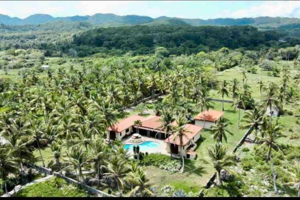 Palm House - Luxury Villa - Samana - Ocean Front Sánchez Buitenkant foto