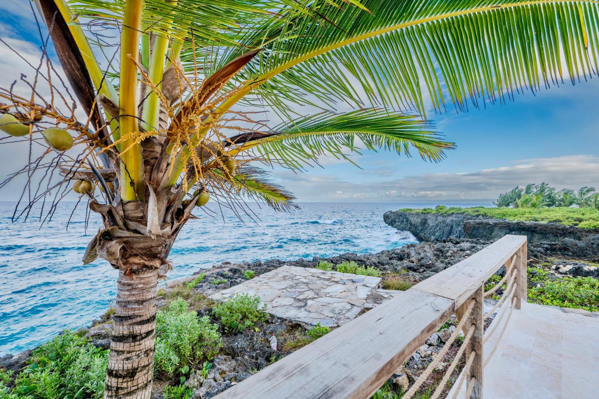 Palm House - Luxury Villa - Samana - Ocean Front Sánchez Buitenkant foto