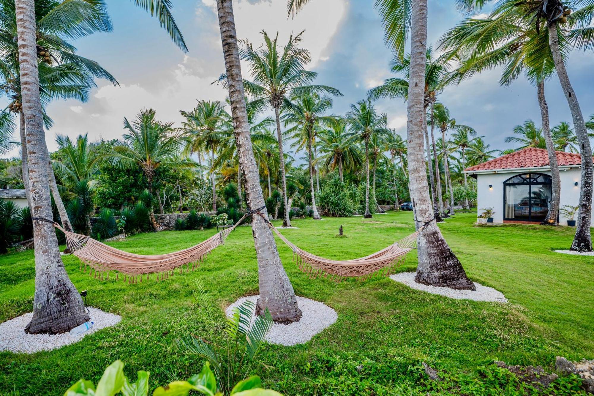 Palm House - Luxury Villa - Samana - Ocean Front Sánchez Buitenkant foto