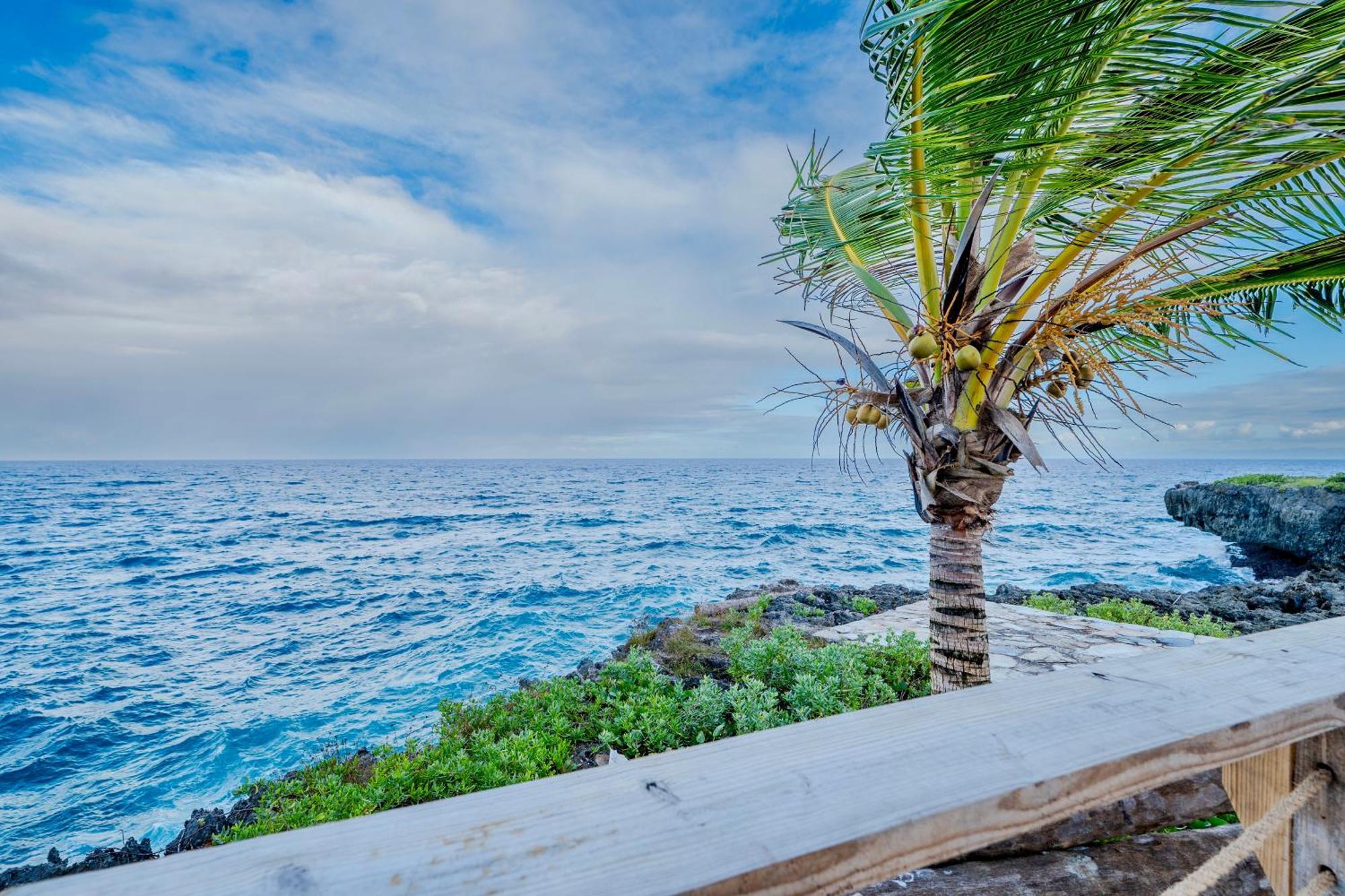 Palm House - Luxury Villa - Samana - Ocean Front Sánchez Buitenkant foto
