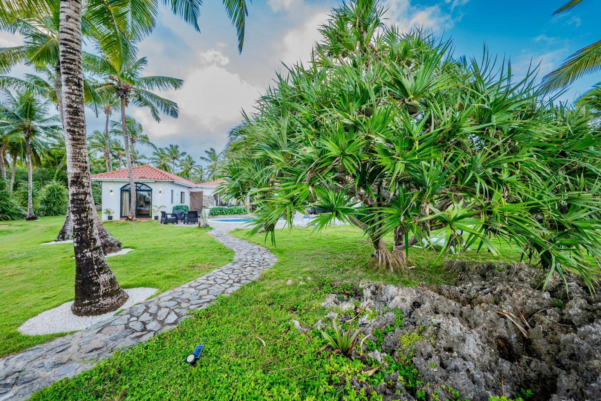 Palm House - Luxury Villa - Samana - Ocean Front Sánchez Buitenkant foto